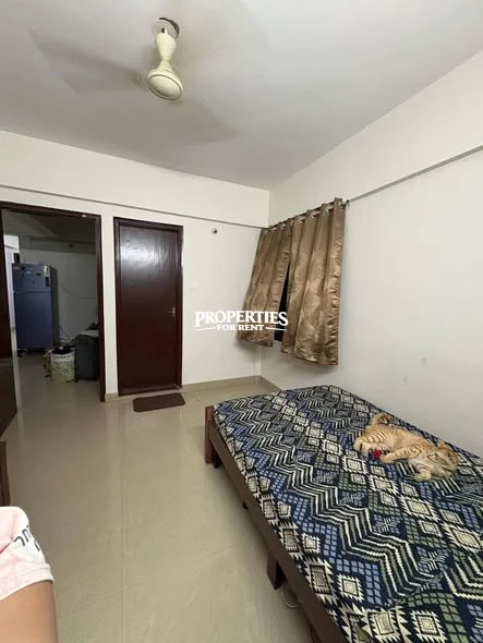 🏡 Looking for a Female Flatmate | 2BHK | Sarjapur / Hosa Road | Pet-Friendly 🐱