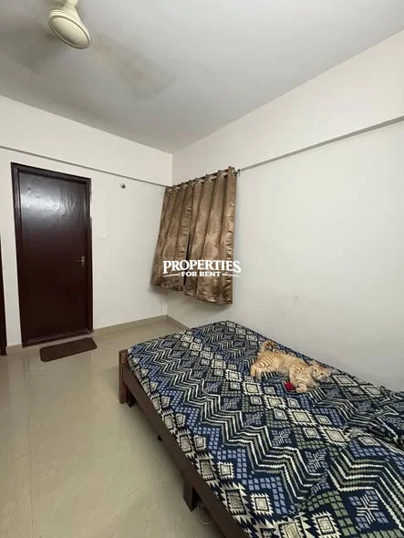 🏡 Looking for a Female Flatmate | 2BHK | Sarjapur / Hosa Road | Pet-Friendly 🐱